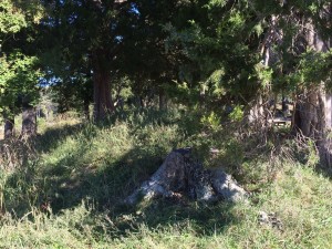 Confederate Earthworks