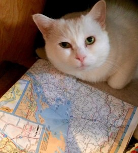 Cora with the map