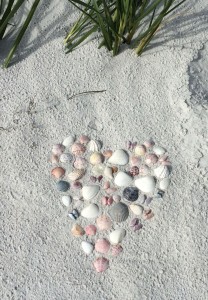 Sanibel heart