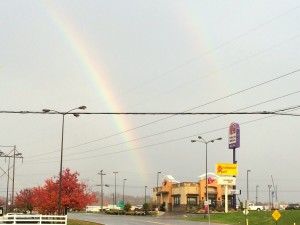 Taco Bell rainbow