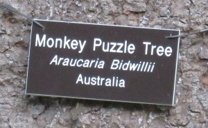name plate