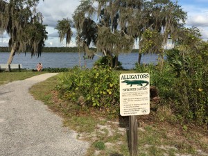 The path to the beach