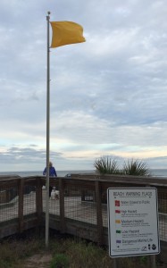 Beach Warning Flags