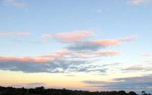 Clearing in the east