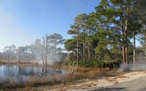 Controlled Burn 5