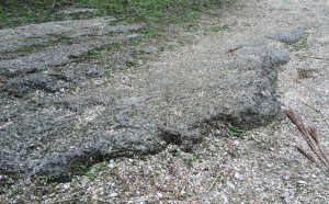 Coquina Quarry stones