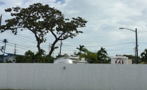 Flo at Leo's Campground and RV Park
