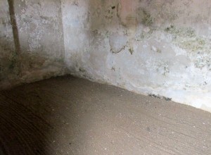 Fort the necessary room