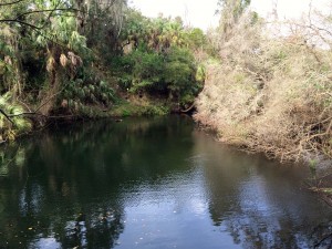 River near my campsite