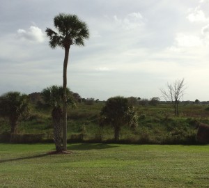 The view out my door