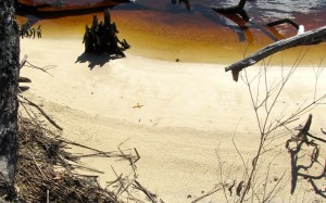 shore with rain and high tide mark