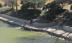 Bridge - fishing on the Brazos
