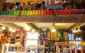 Homestead - fiber shed