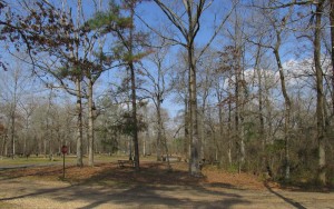 The view from the back