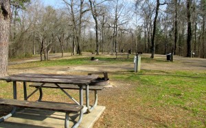 Looking out the door