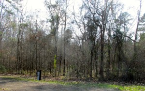 The view from the front