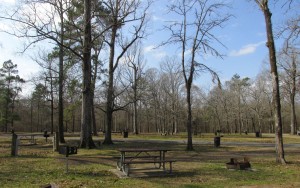 The view from the other side