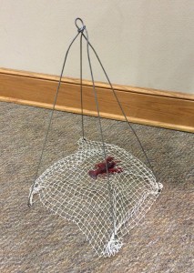 Crawfish trap - old fashioned