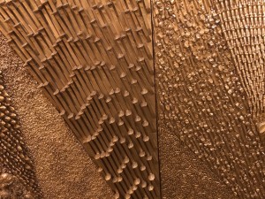 Noma Will Ryman America 2013 2