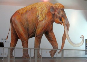 mammoth Quincy painting