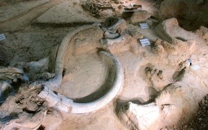 mammoth quincy's tusks