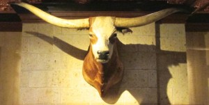 the Driskill longhorn