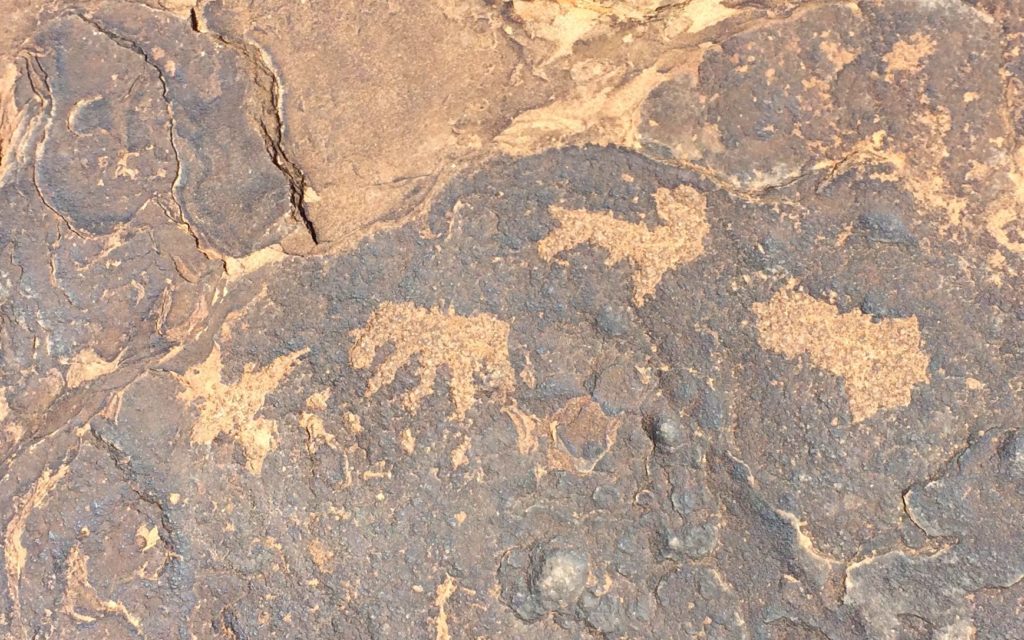 Animals - maybe horses