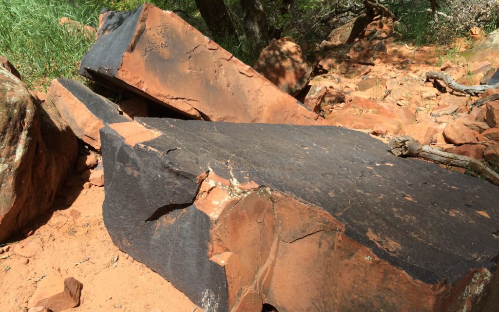 Fallen rocks with desert varnish