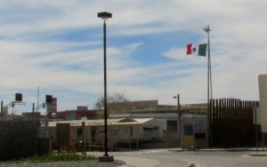 Mexican Flag