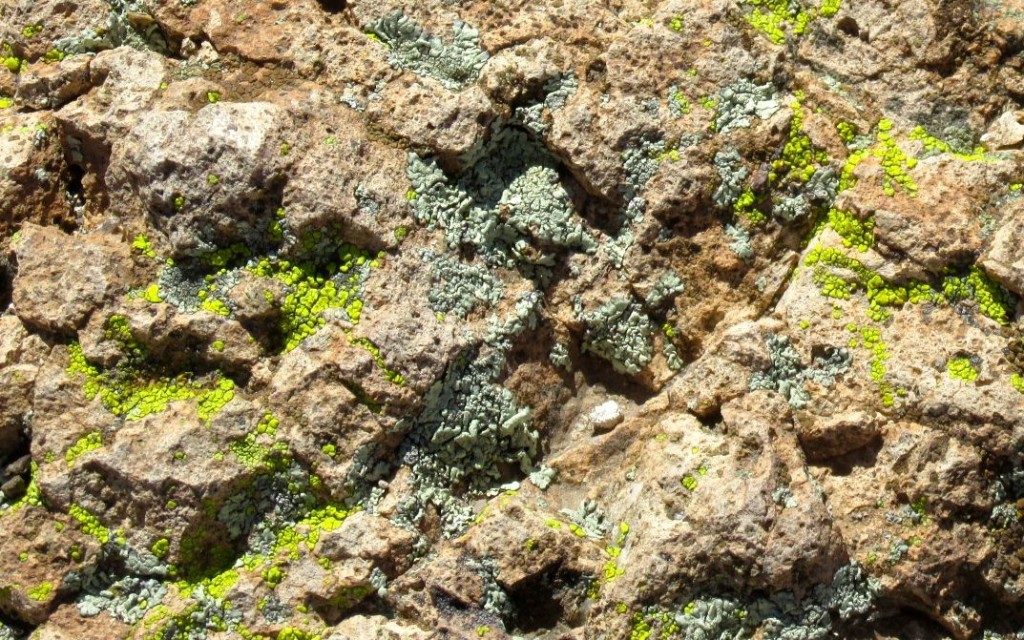 Thurs green on the rocks