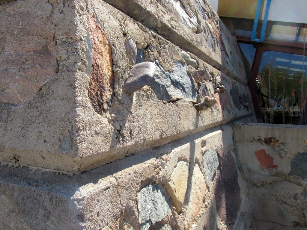 Wall with cactus growing out