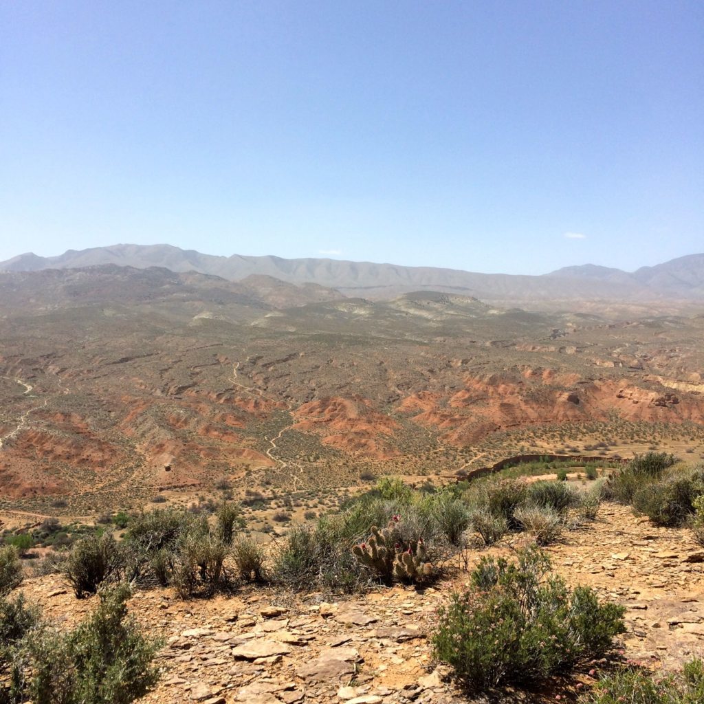 What I am looking at