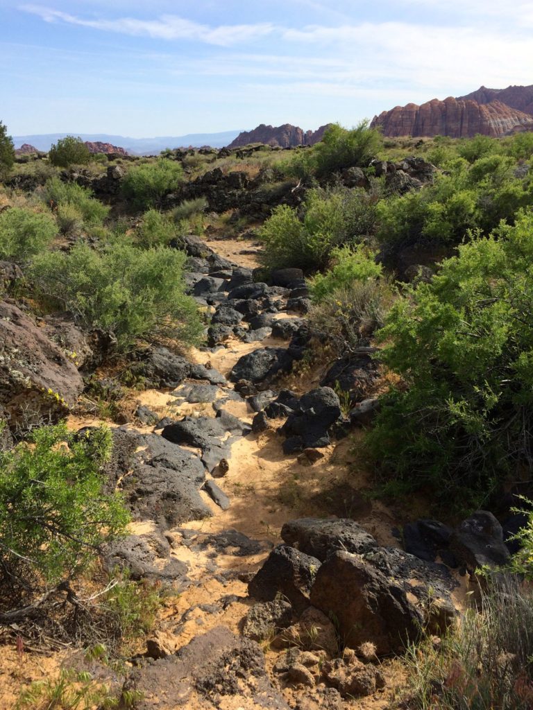 path in the lava field