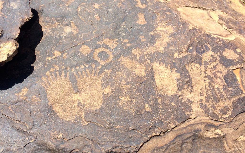 seven fingered hands or paws