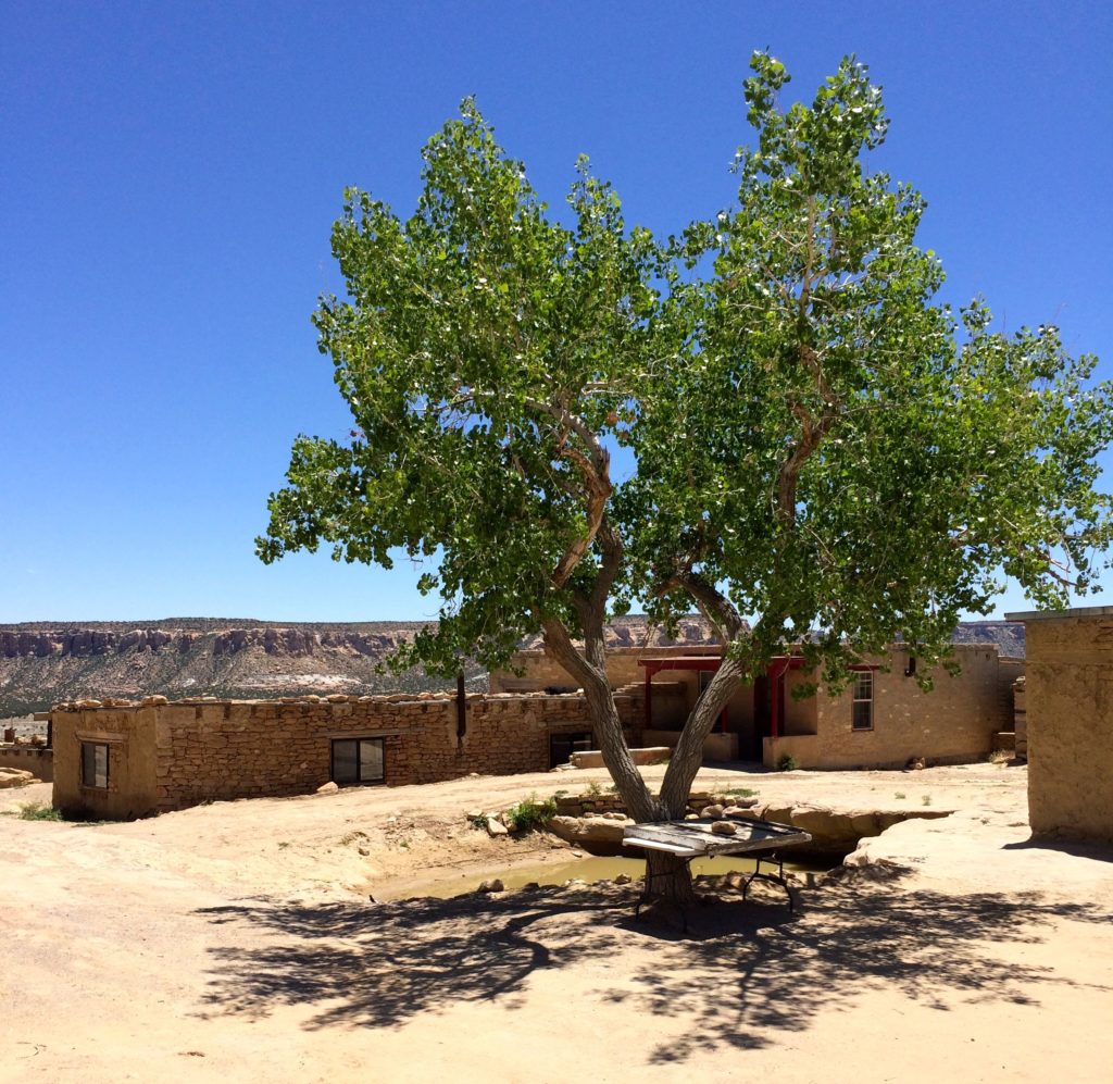 Acoma National Forest and third cistern