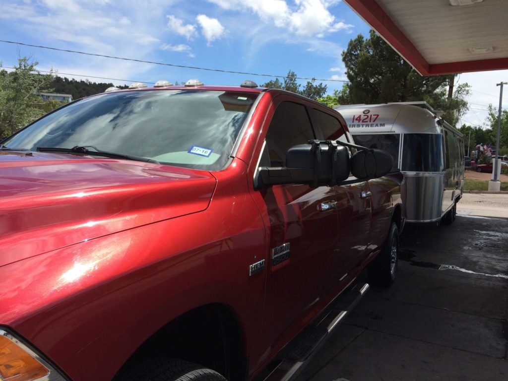 Don't they look pretty?