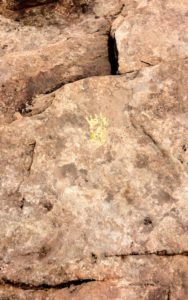 Footprint trail marker