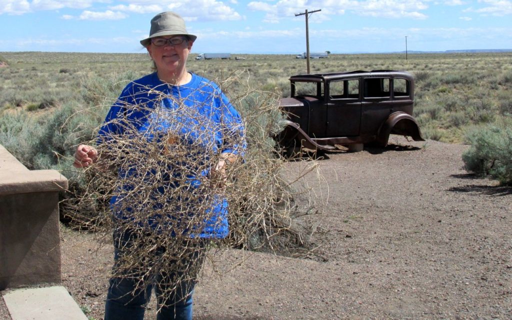 I found a tumble weed on Route 66
