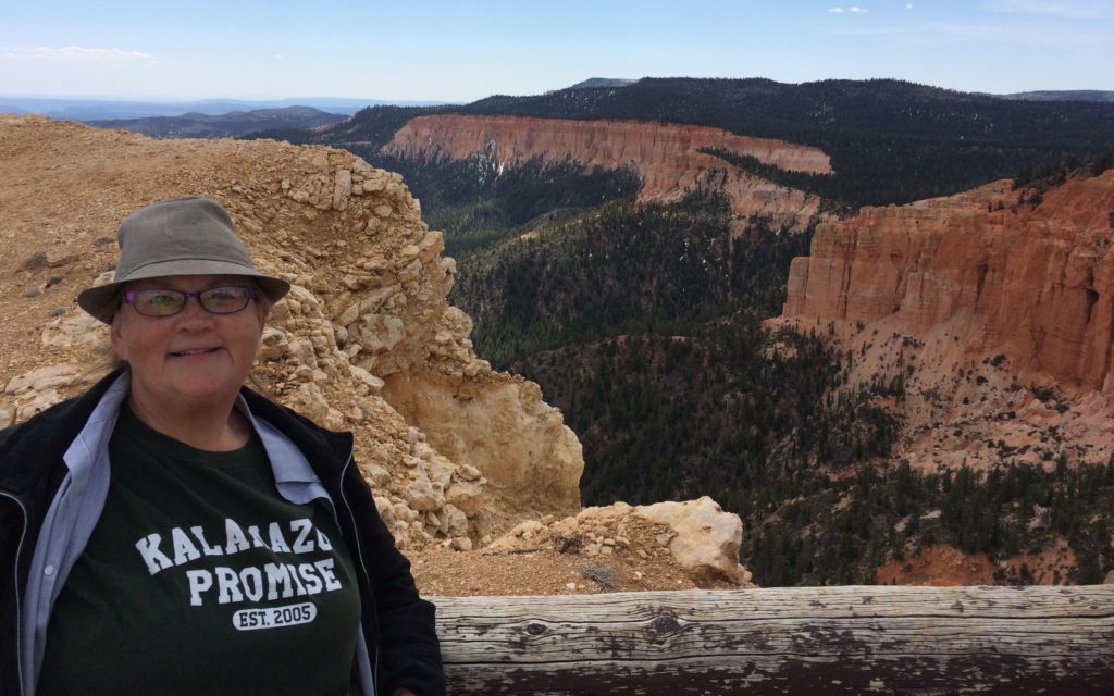 Kalamazoo Promise picture