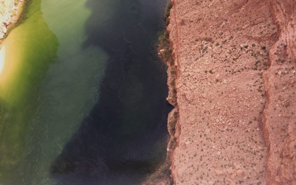 Looking into the river