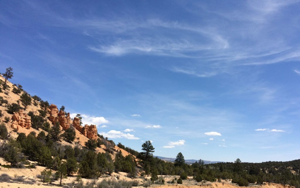 Mossy cave looking in the opposite direction