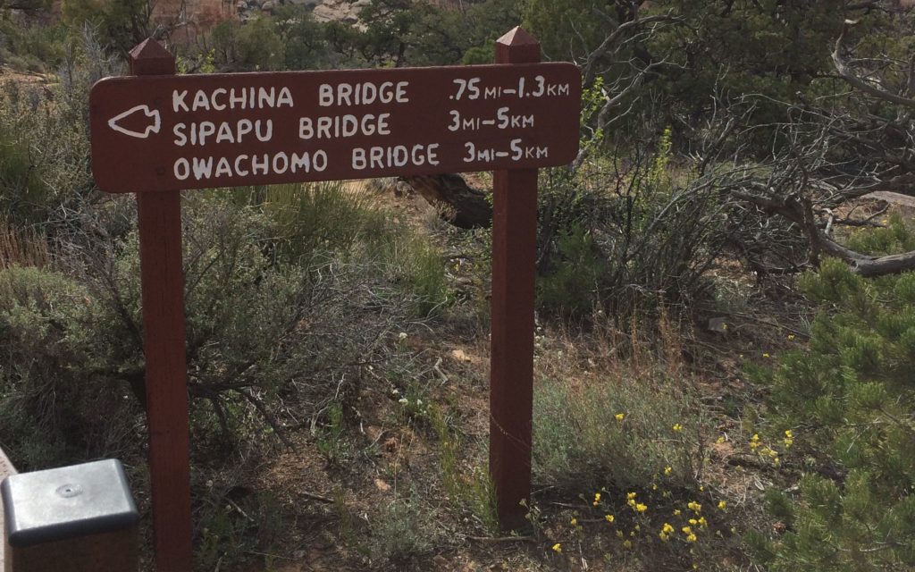 Not far but a long way down