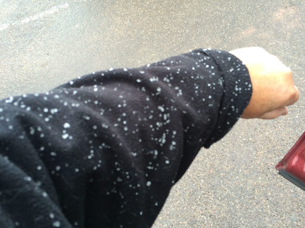 Snow on my sleeve