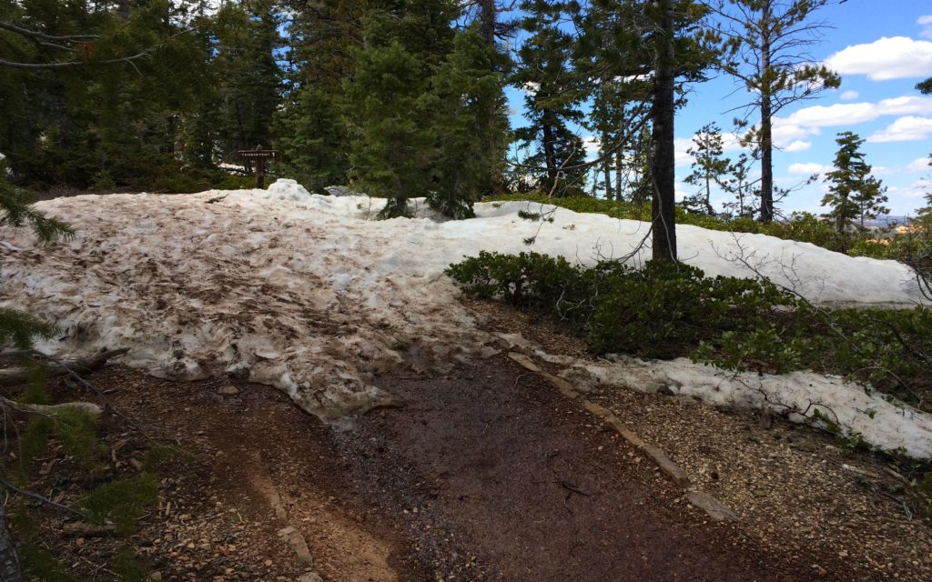 Snow on the trail
