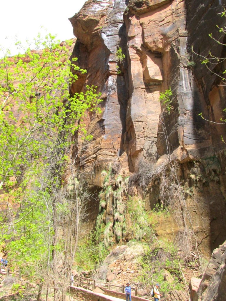 Straight canyone walls