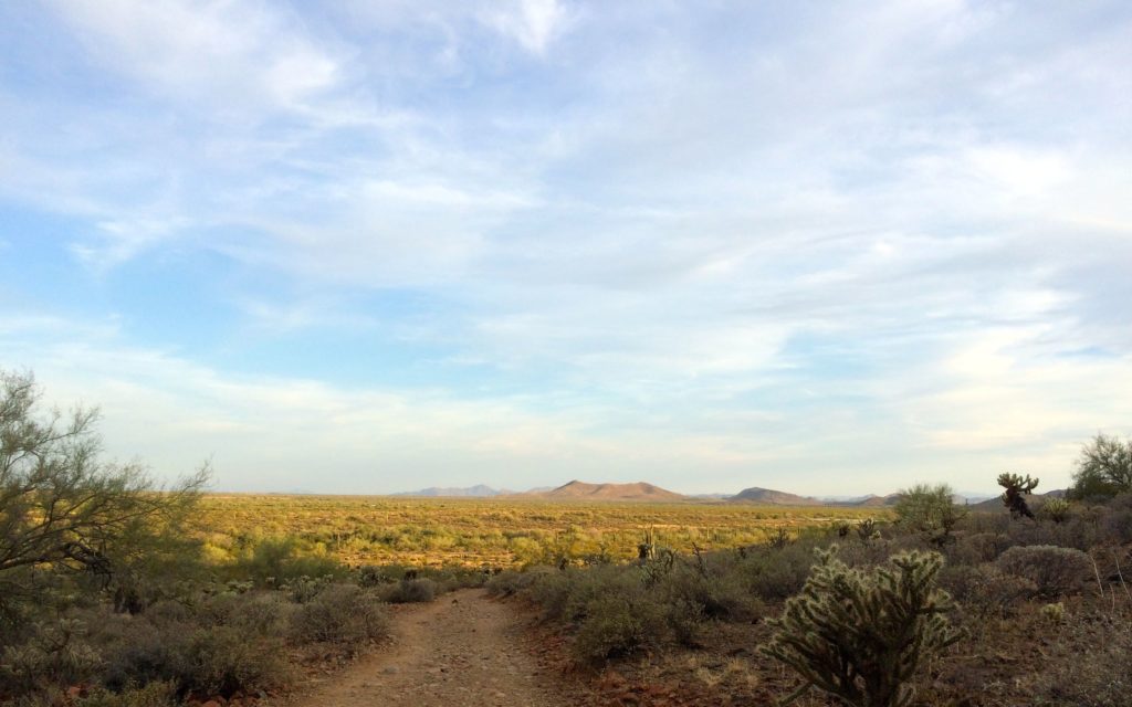 Waiting for the sun to go down