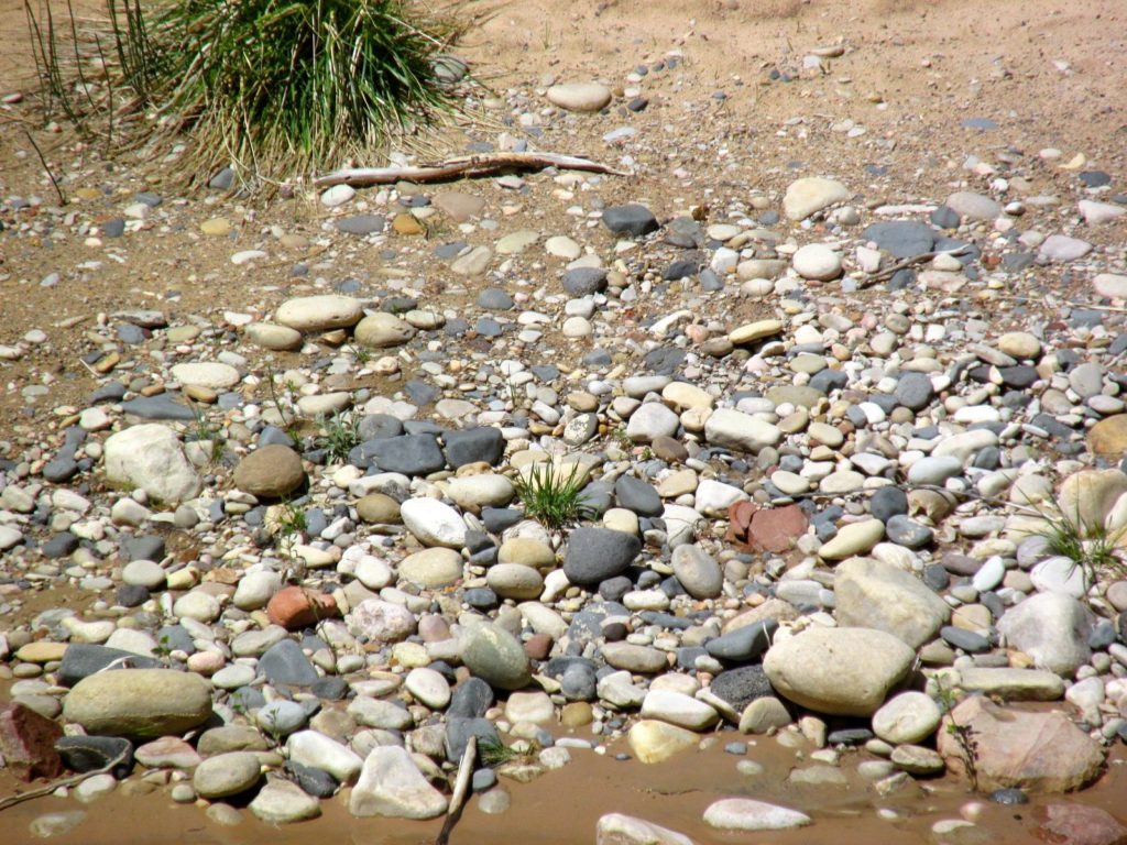 cobbles in the river