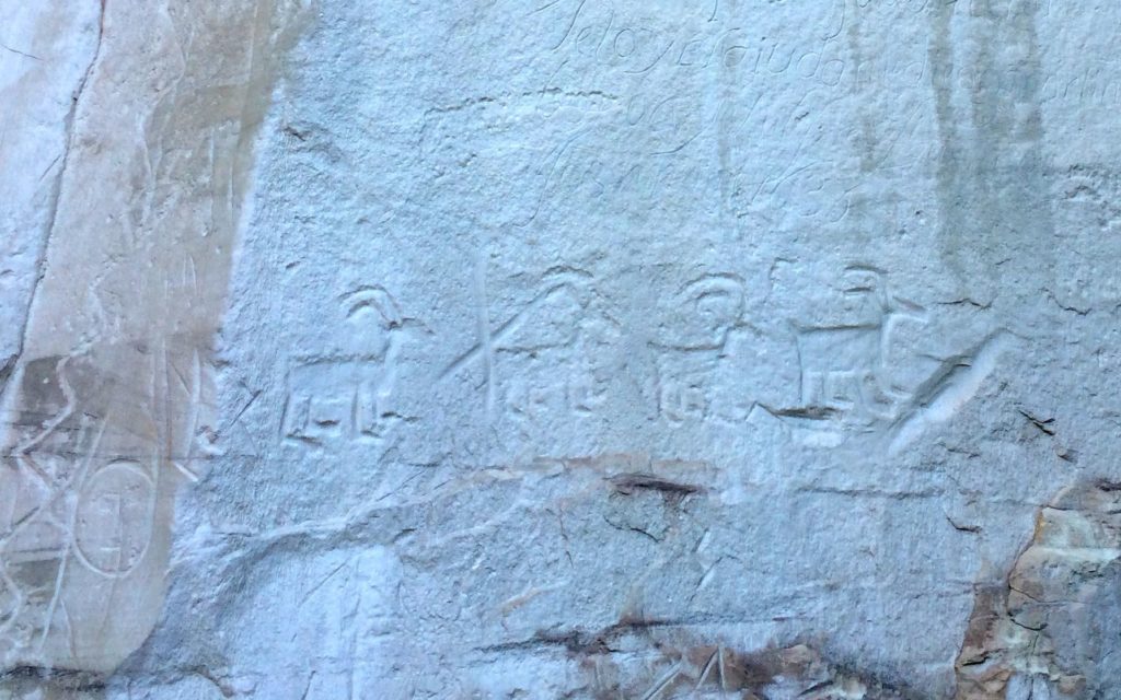 petroglyphs big horn sheep