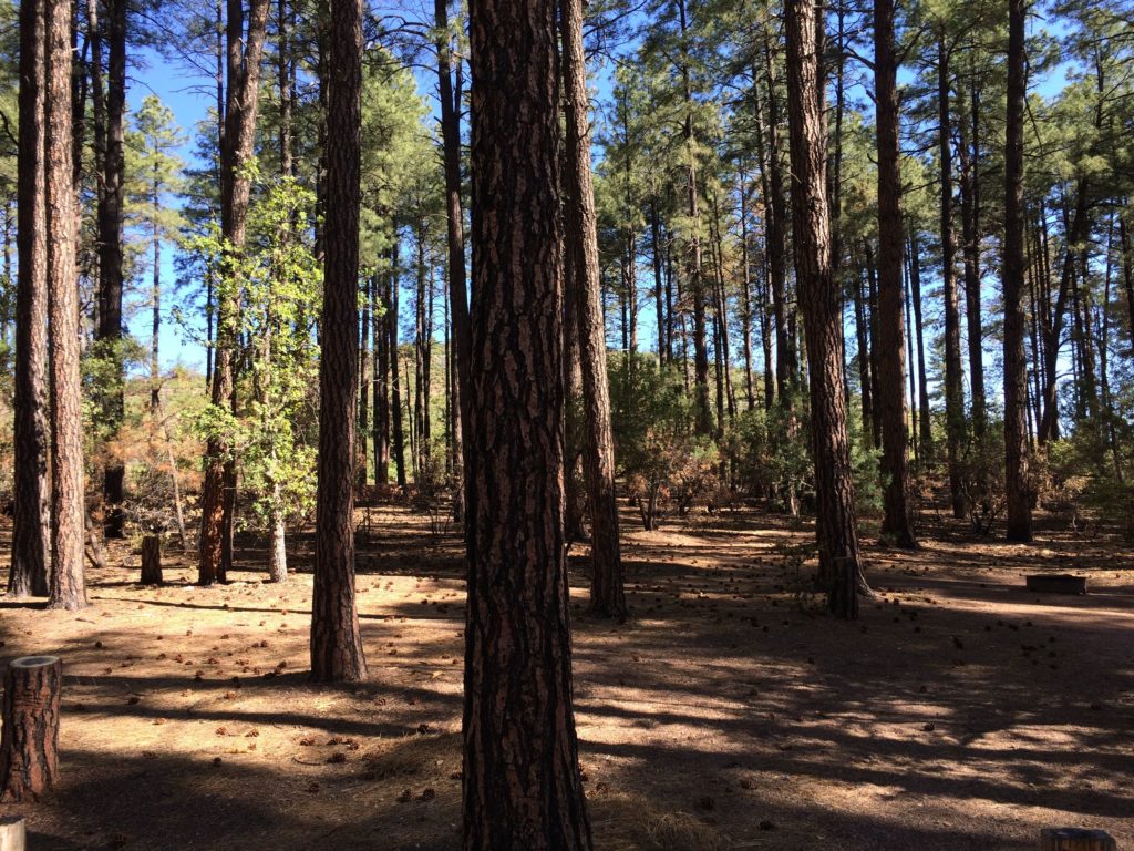 The view from my door