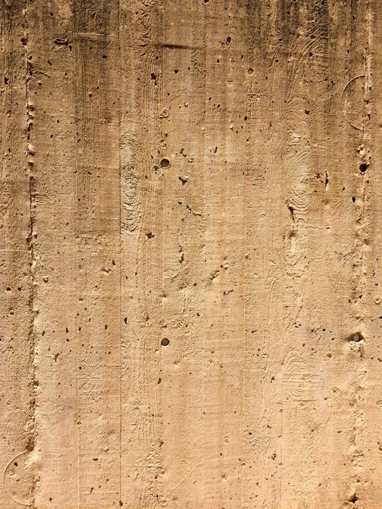 Wood impressions in cement